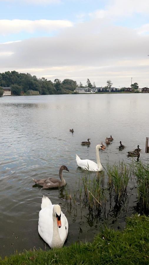 Widgeon Bespoke Cabin Is Lakeside With Private Fishing Peg, Hot Tub Situated At Tattershall Lakes Country Park Eksteriør bilde